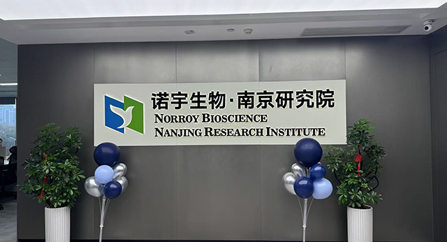 Norroy Nanjing institute research.jpg