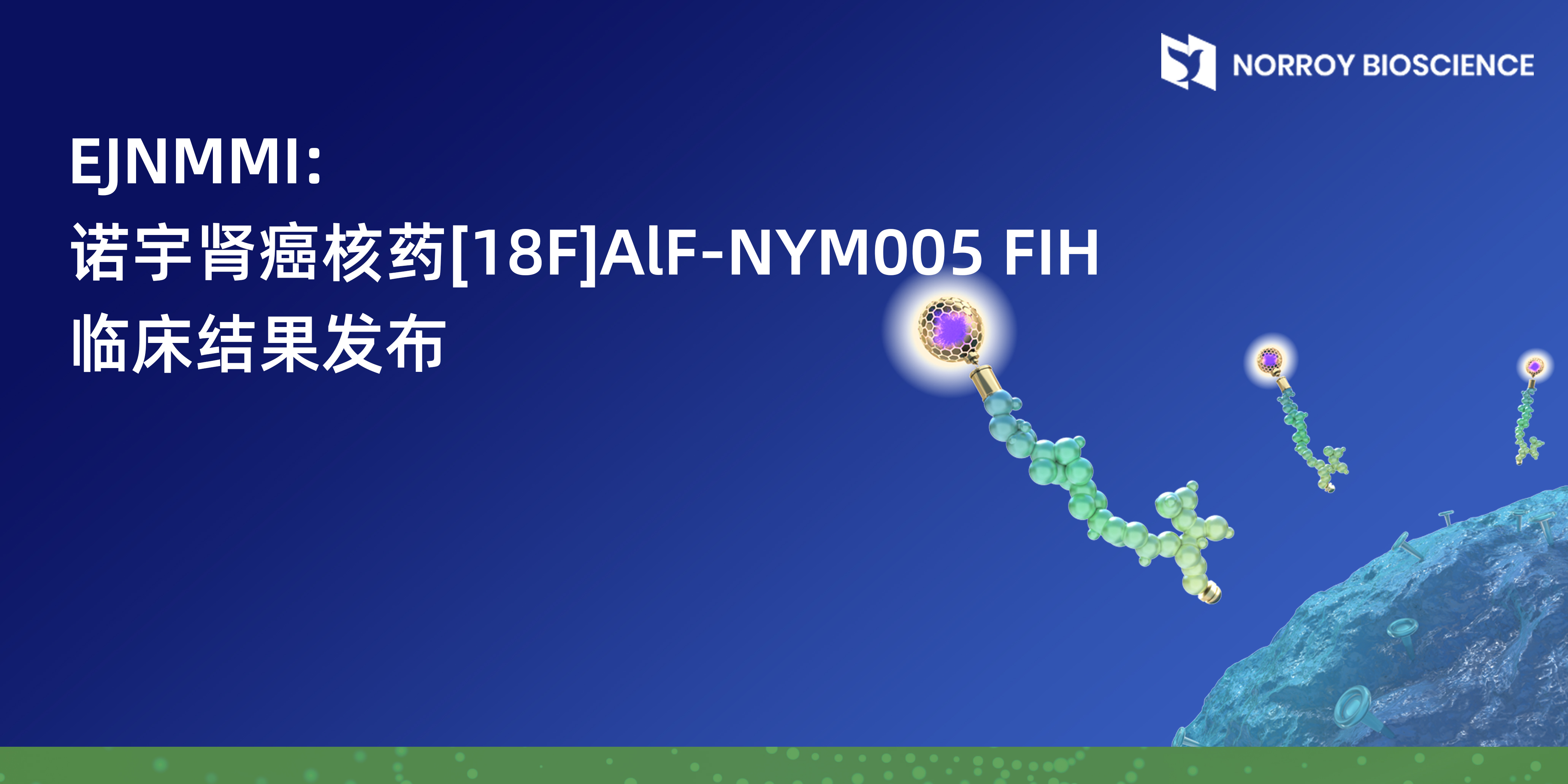 诺宇肾癌核药[18F]AlF-NYM005 FIH临床结果发布.jpg