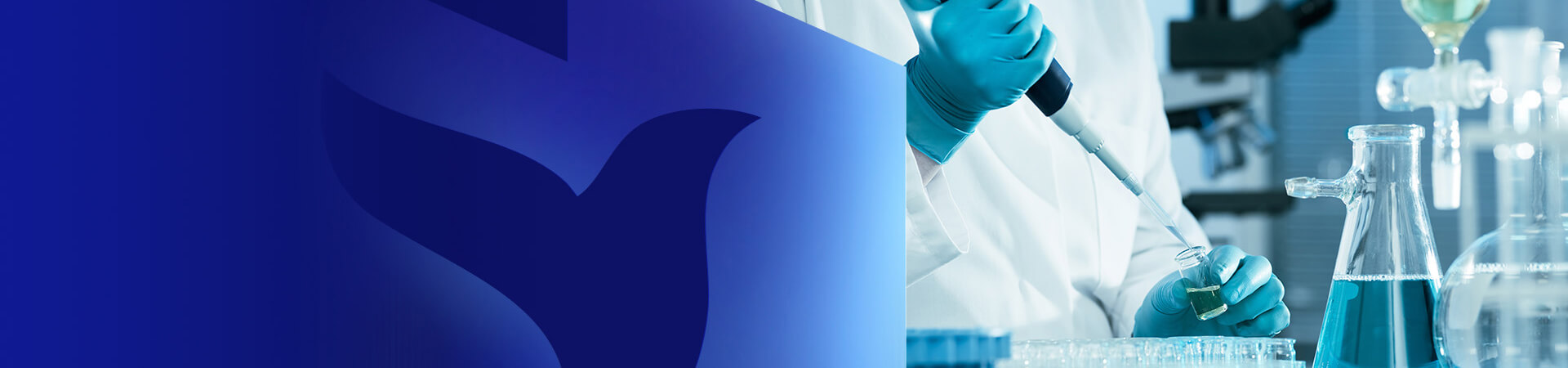 banner-news.jpg