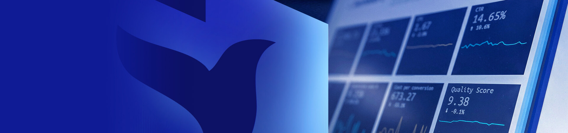 banner-portfolio.jpg