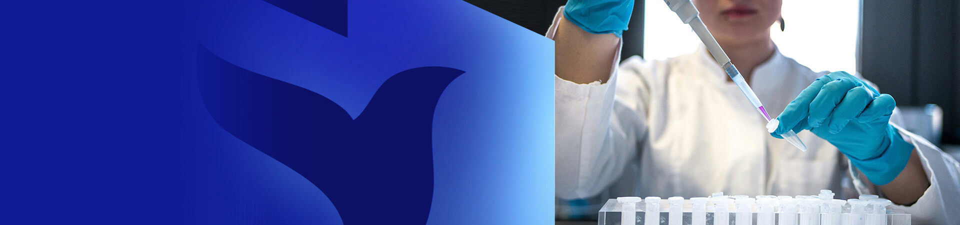 banner-reasearch.jpg