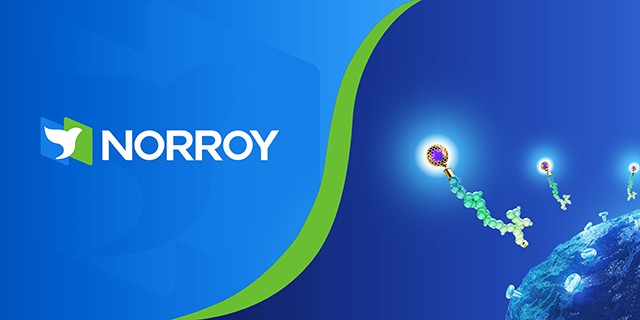 NORROY FDA BTD and FTD 0811.jpg
